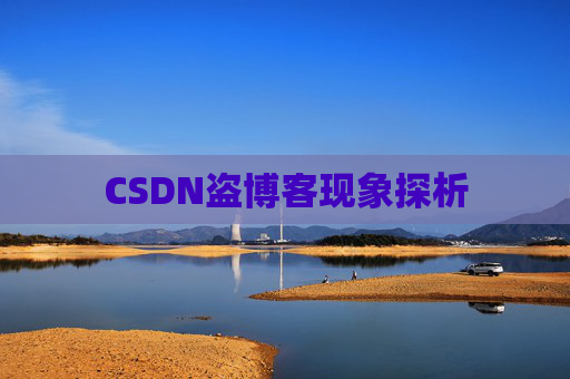 CSDN盗博客现象探析